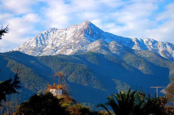 Peligra Reserva Mundial de la Biósfera La Campana ante megaproyecto de carretera eléctrica en Olmué