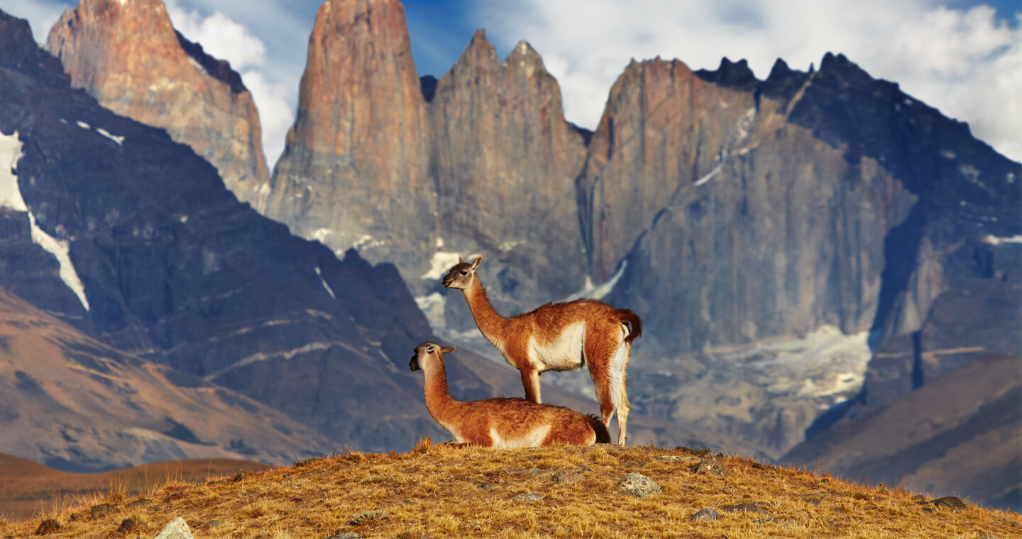 La inspiración medioambiental de la Constitución que votará Chile