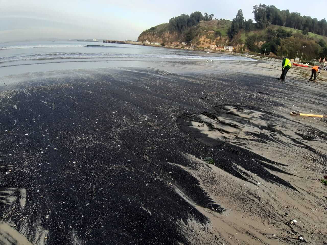 Senador Latorre denuncia alianza de empresas y Ministerio del Medio Ambiente por contaminación en Quintero