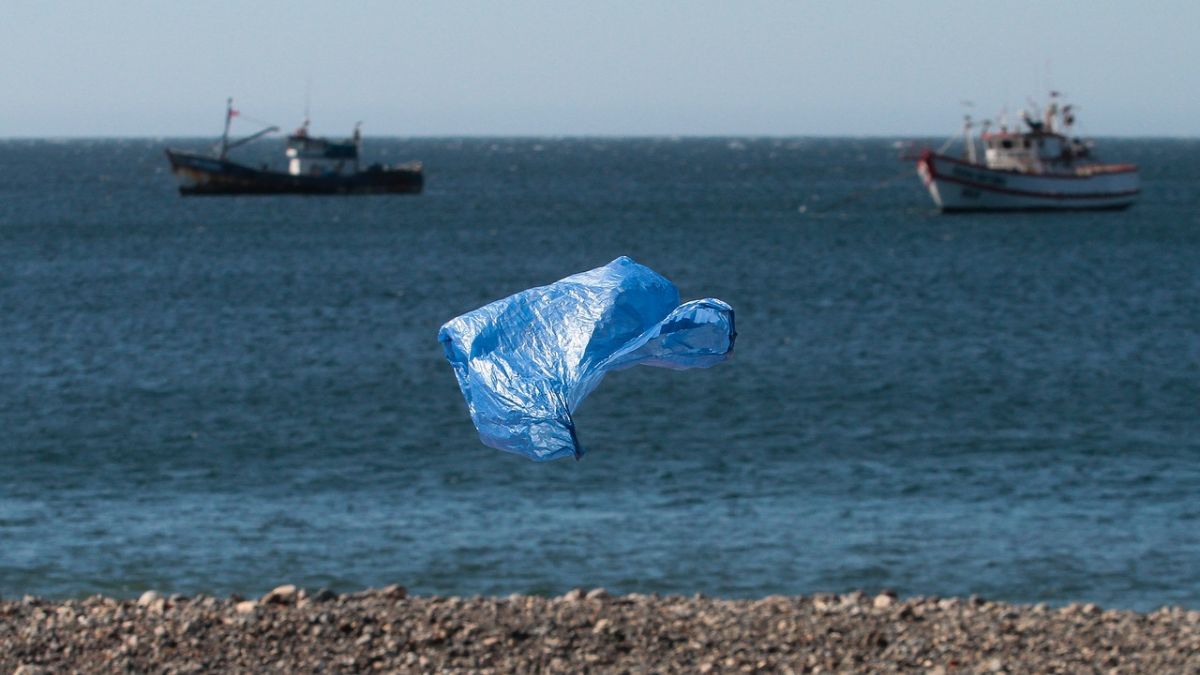 Estudio científico analiza historia y fin de las bolsas plásticas para Chile