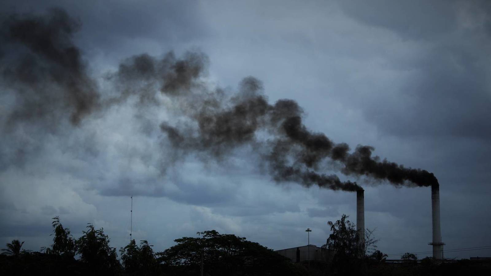 Impacto coronavirus: “No es necesario revisar la meta de descarbonización a 2050”