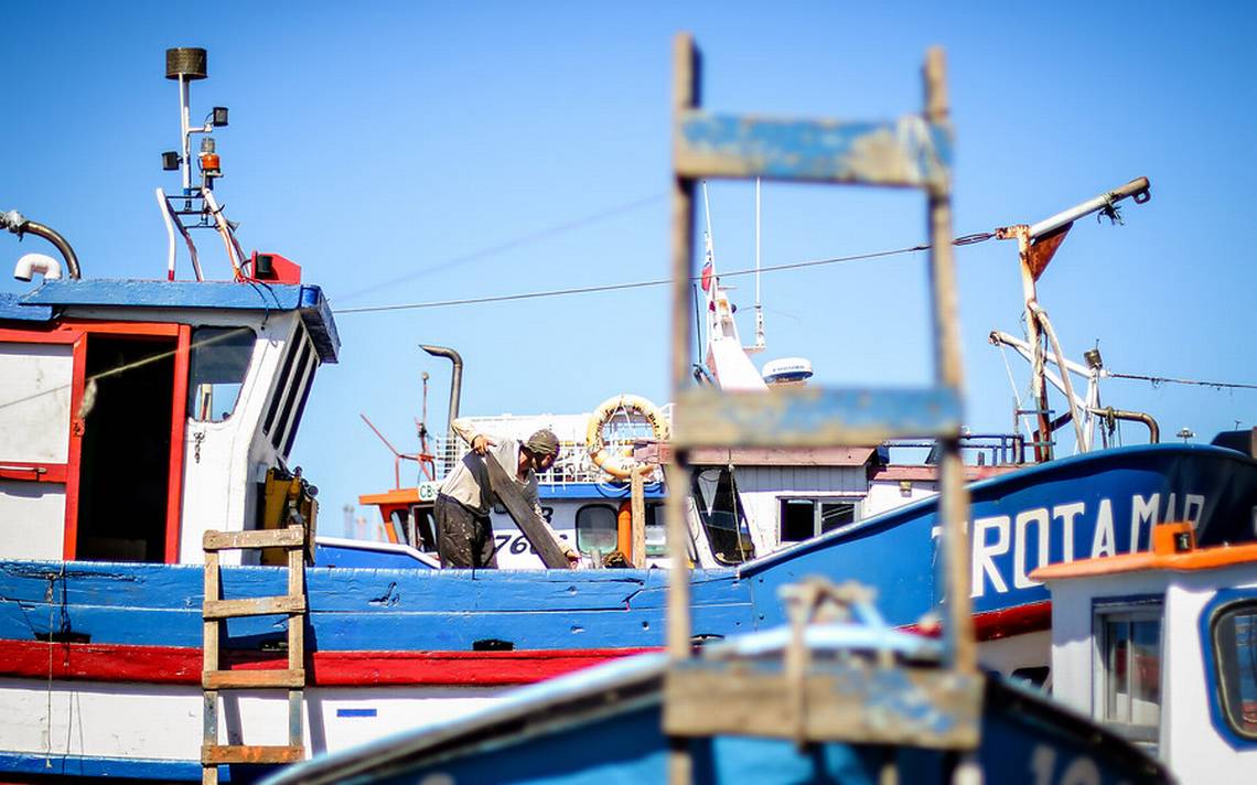 Pescadores de la Araucanía exigen ayuda de gobierno por COVID-19