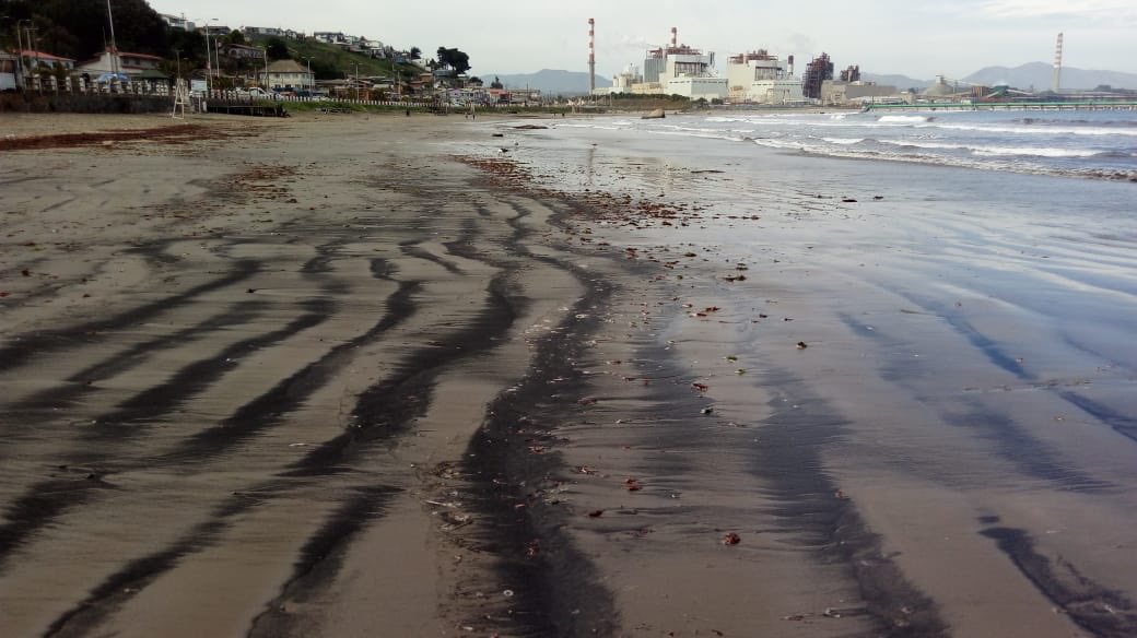 Fundación Terram revela un total de 712 varamientos de carbón en Caleta Ventanas desde 2009