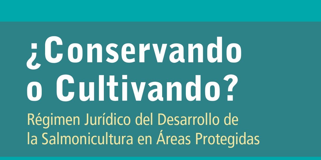 Salmoneras en áreas protegidas: la incompatible disyuntiva entre cultivar o conservar