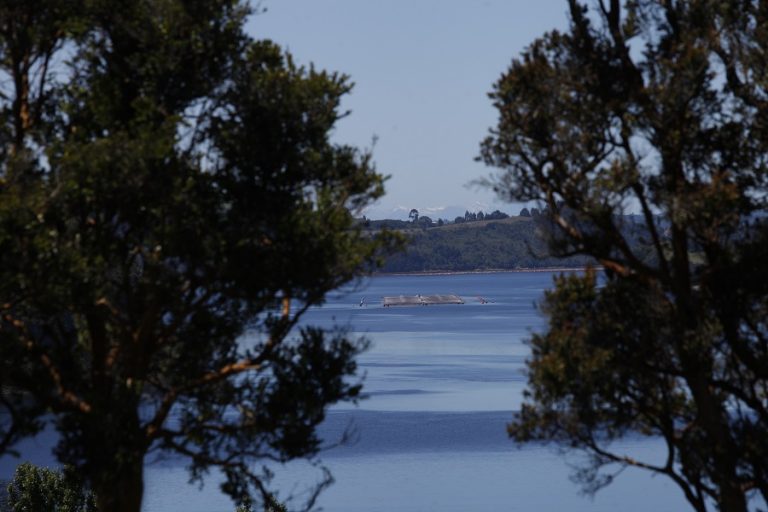 Confirman presencia de marea roja en área de Chiloé