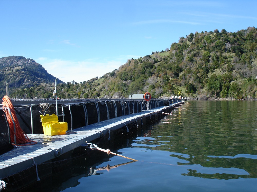 Explican normativa de Subpesca en torno a solicitudes de concesiones acuícolas