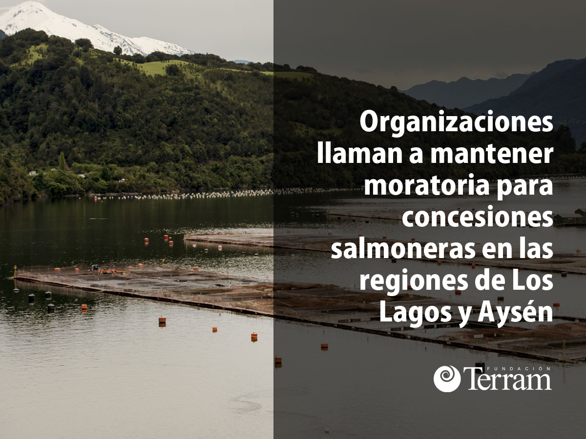 Organizaciones llaman a mantener moratoria a concesiones salmoneras en las regiones de Los Lagos y Aysén