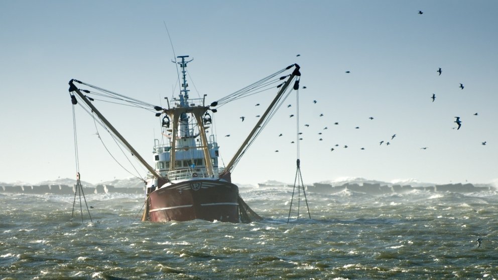 Informe de Subpesca muestra mejora en estado de recursos pesqueros industriales