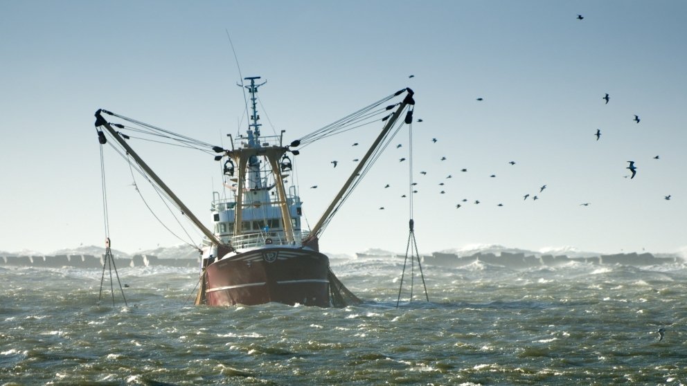 Se profundiza el debate en torno a la pesca de arrastre