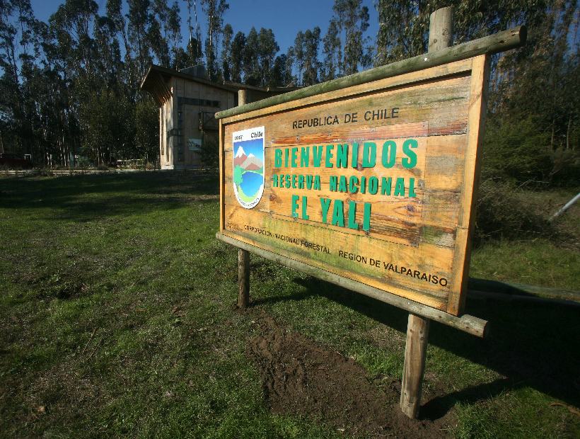 Estudio revela preocupante estado ecológico del humedal El Yali
