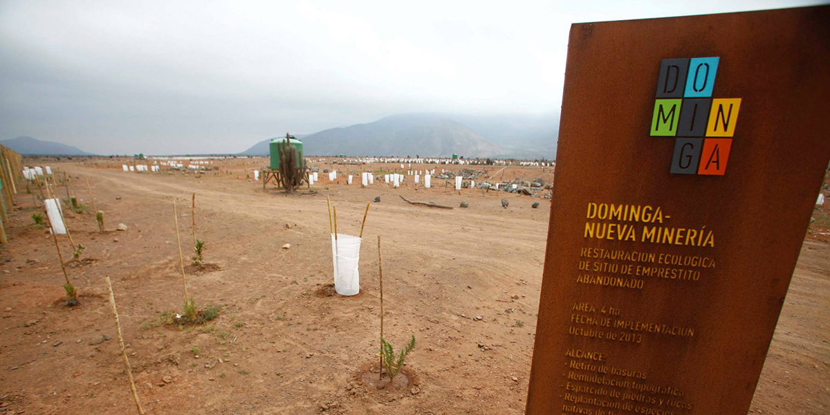 Alianza Humboldt Atacama acusa a Andes Iron y al CORE de Coquimbo de presionar a la justicia para aprobar el proyecto Dominga