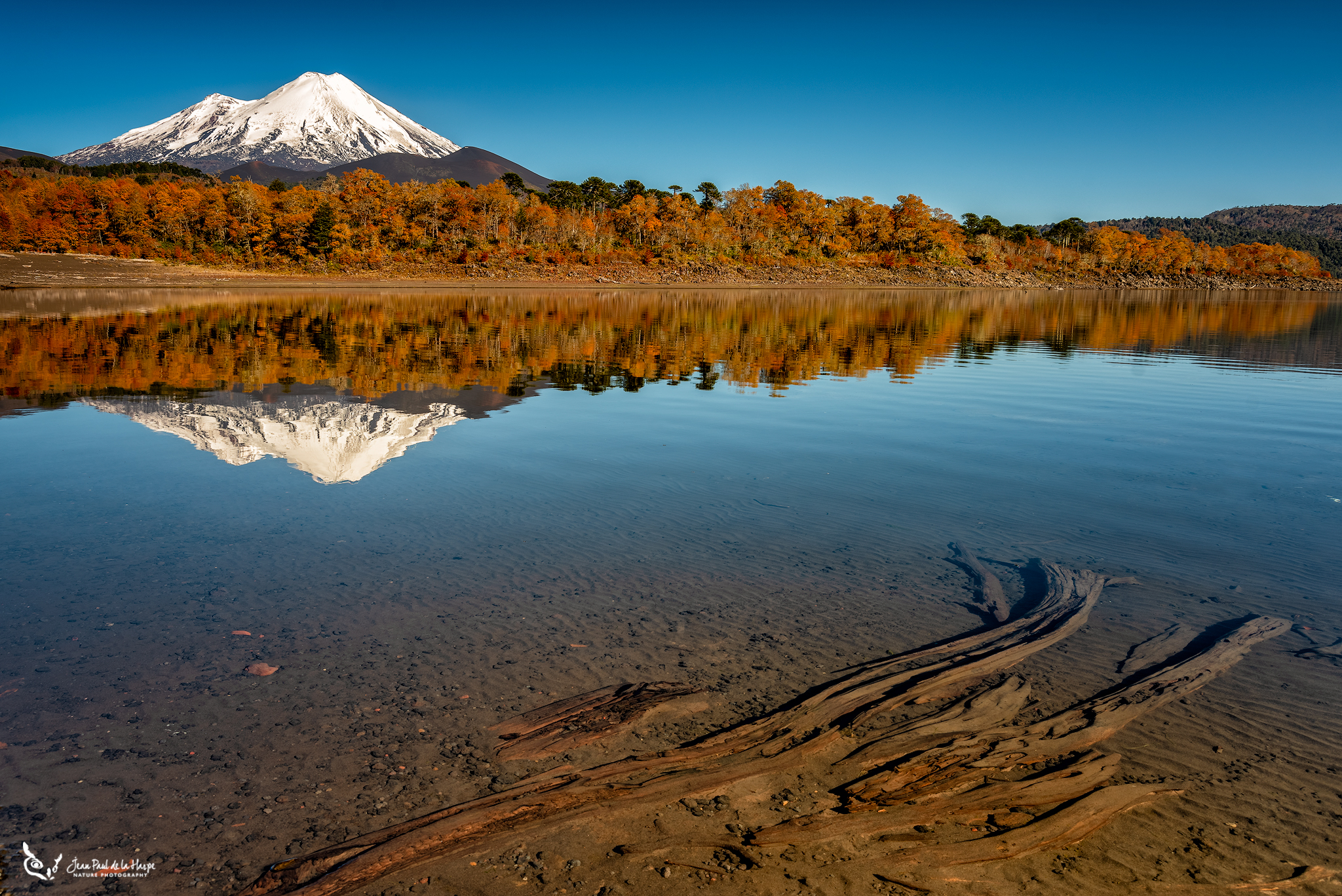 Parque Nacional Conguillío cumple 70 años regalando su belleza