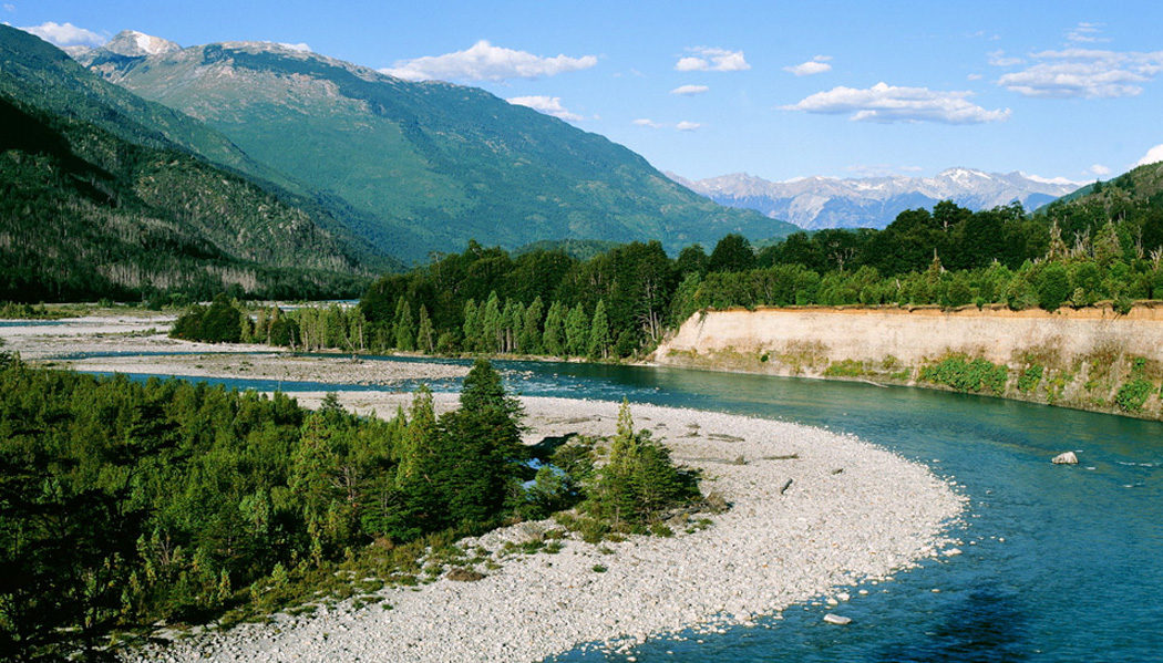 La decisión de Tompkins Conservation tras declararse desierta la segunda licitación por Pumalín y Patagonia