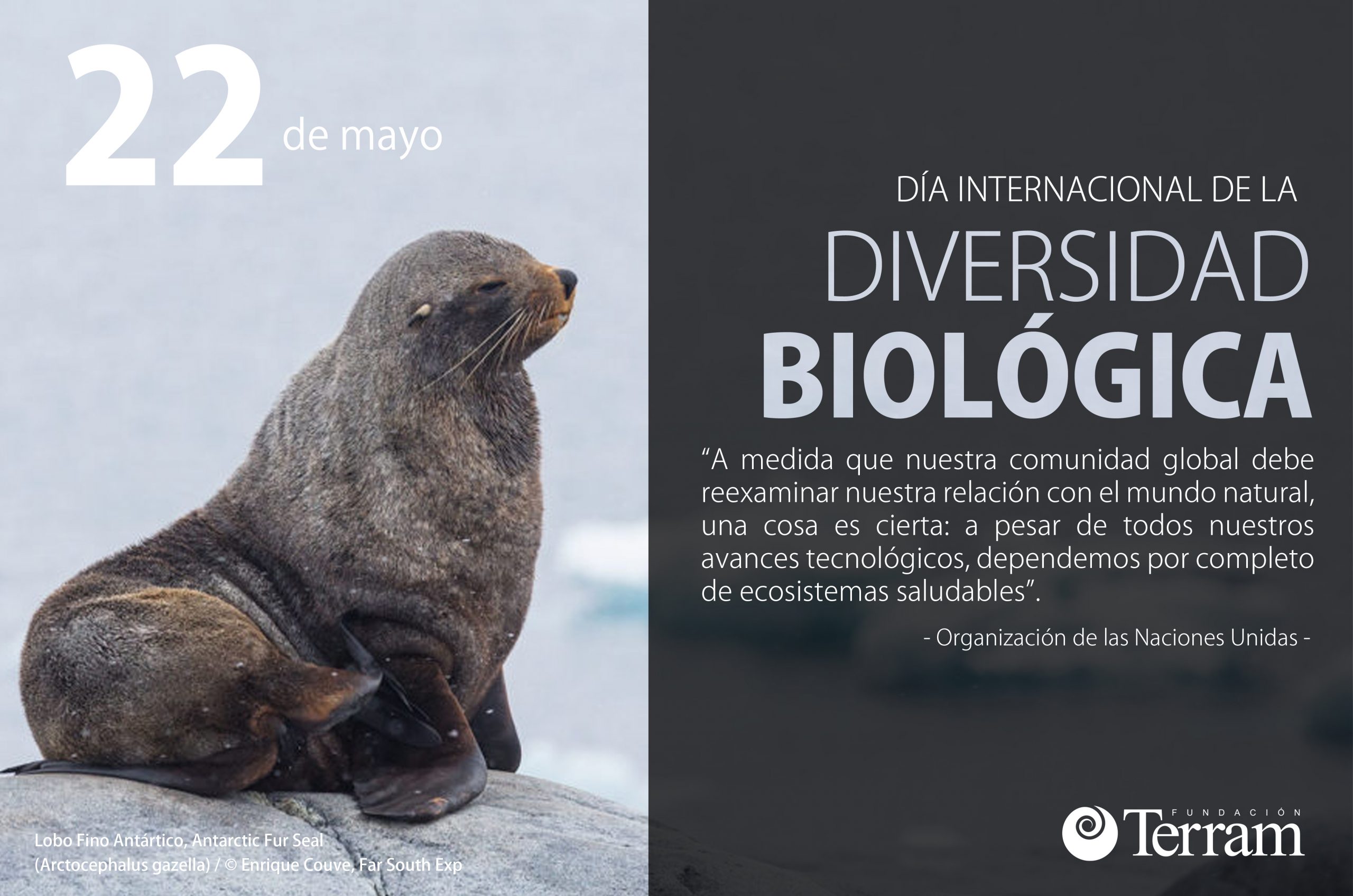 La pérdida de la biodiversidad es una pérdida para la humanidad