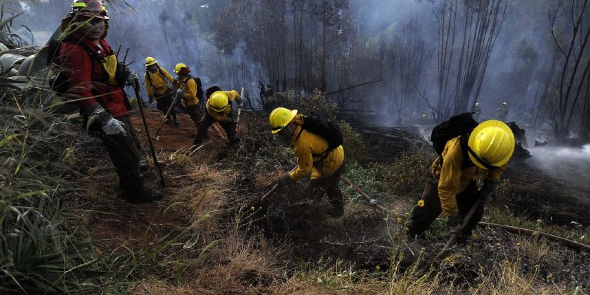 Más de mil hectáreas consumidas: incendios forestales afectan a la V Región y provincias de Marga Marga y Valparaíso mantienen alerta roja