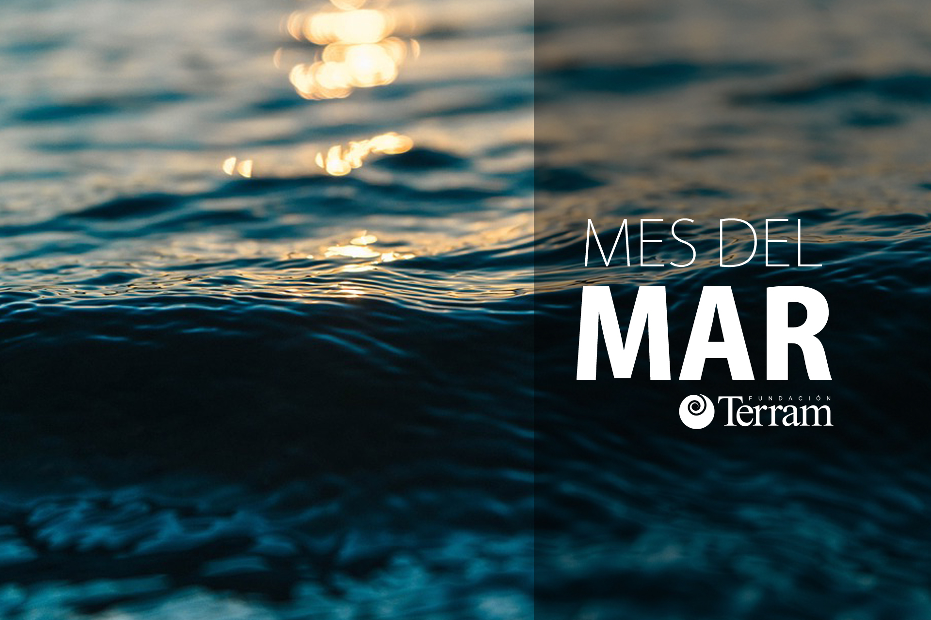 Especial Mes del Mar