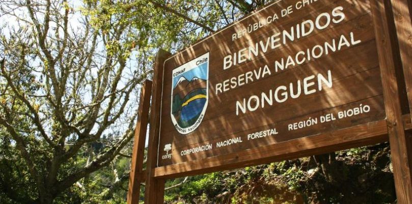 Reserva Nonguén de Concepción es nuevo Parque Nacional