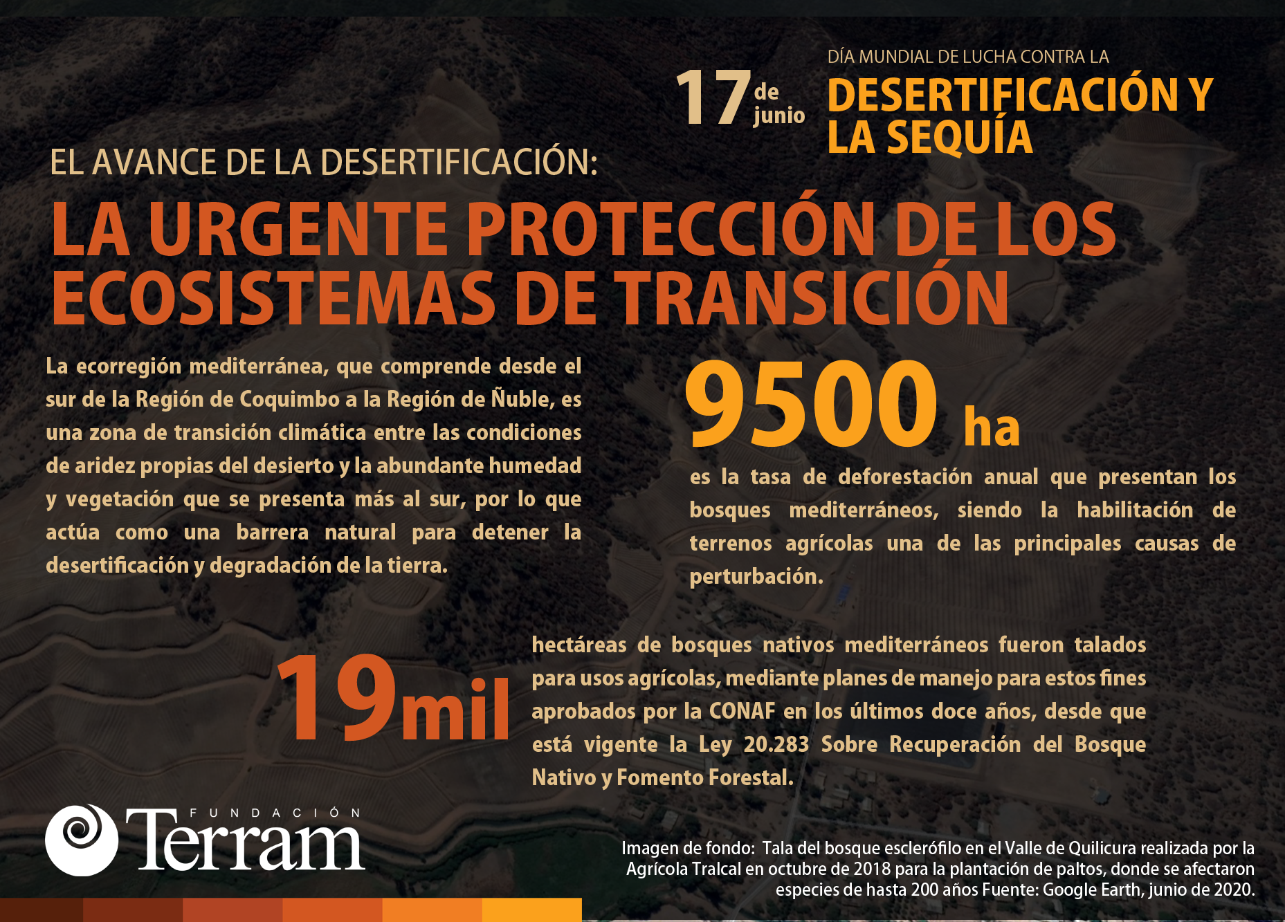 Día Mundial de Lucha contra la Desertificación y la Sequía: La urgente protección de los ecosistemas de transición