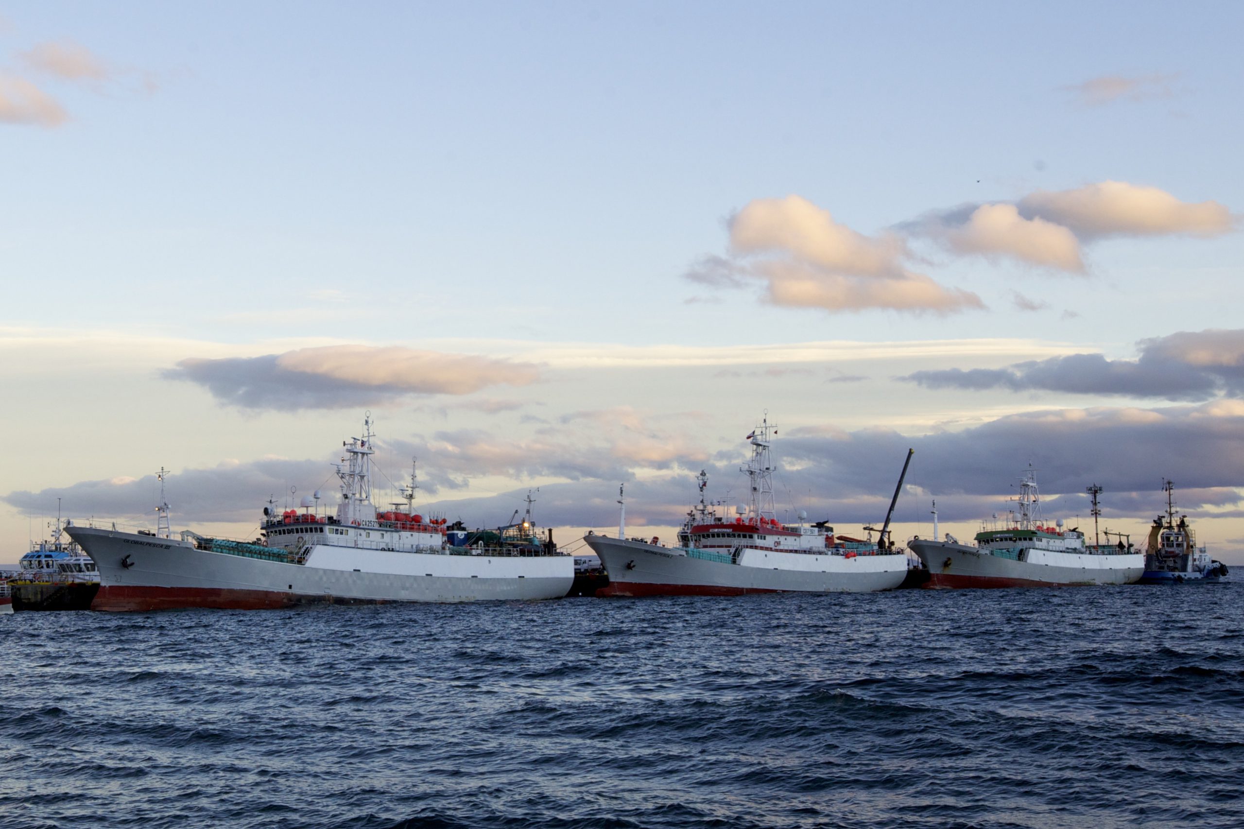 Armada monitorea al avance de la súper flota pesquera de 330 embarcaciones