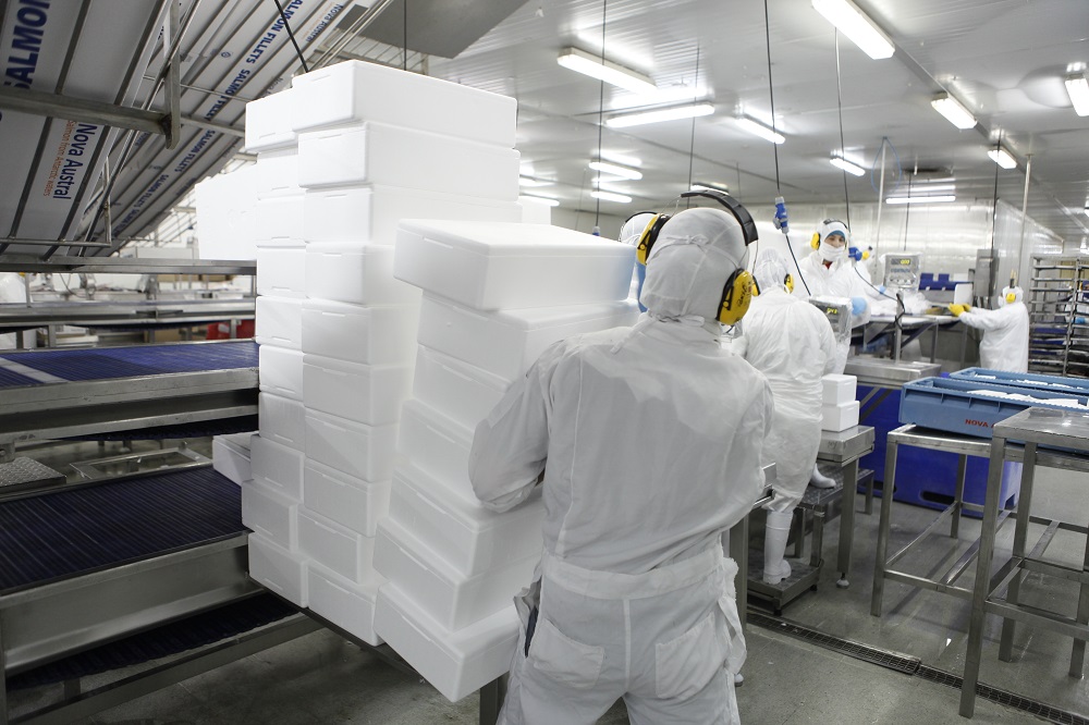 Por situación en China: Sernapesca detalla acciones de control sanitario para exportaciones de salmón chileno