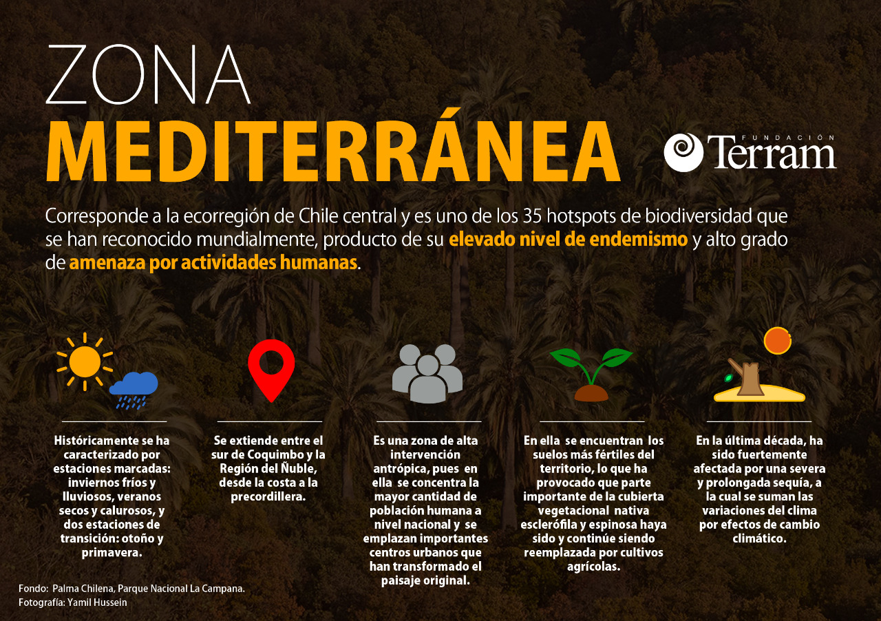 La Zona Mediterránea Y Sus Características Fundación Terram