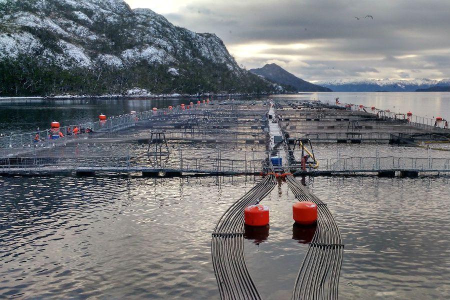 Pescadores artesanales rechazan victimización de Nova Austral