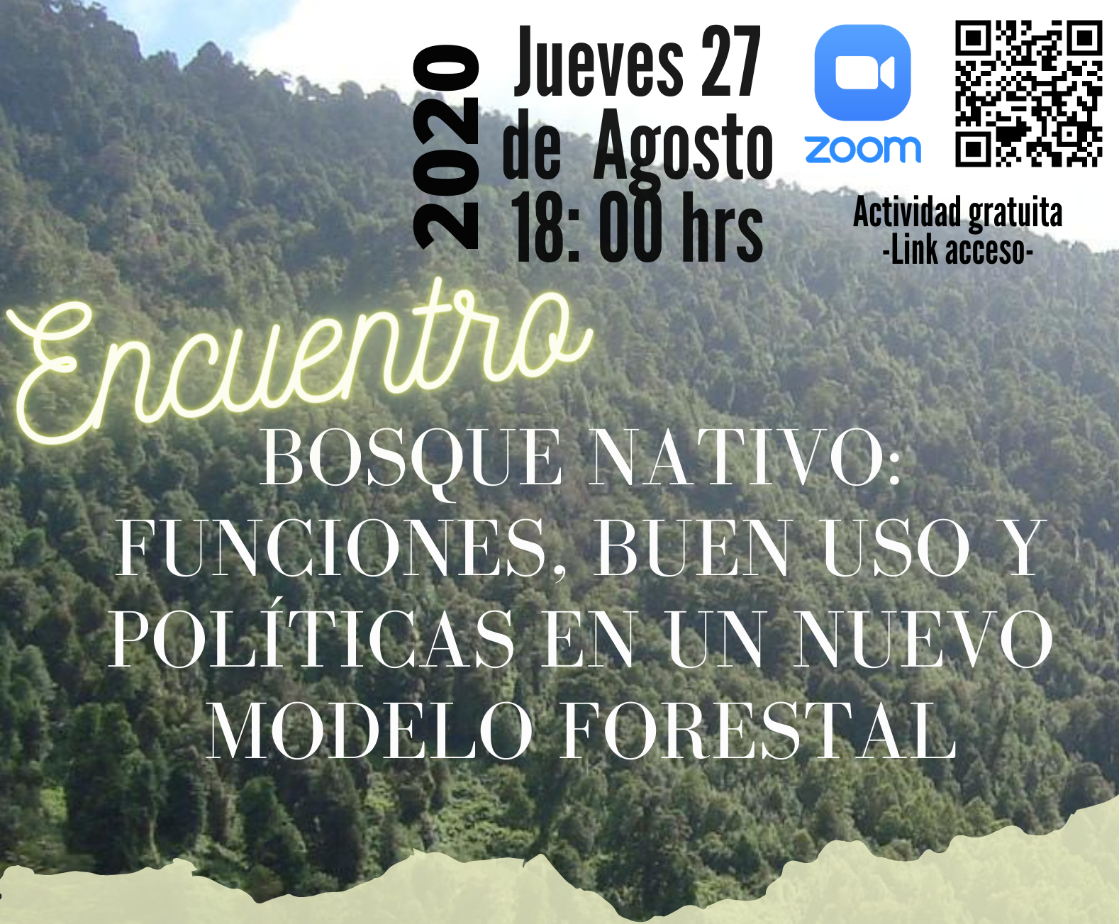 Bosque Nativo: funciones, buen uso y políticas en un nuevo modelo forestal