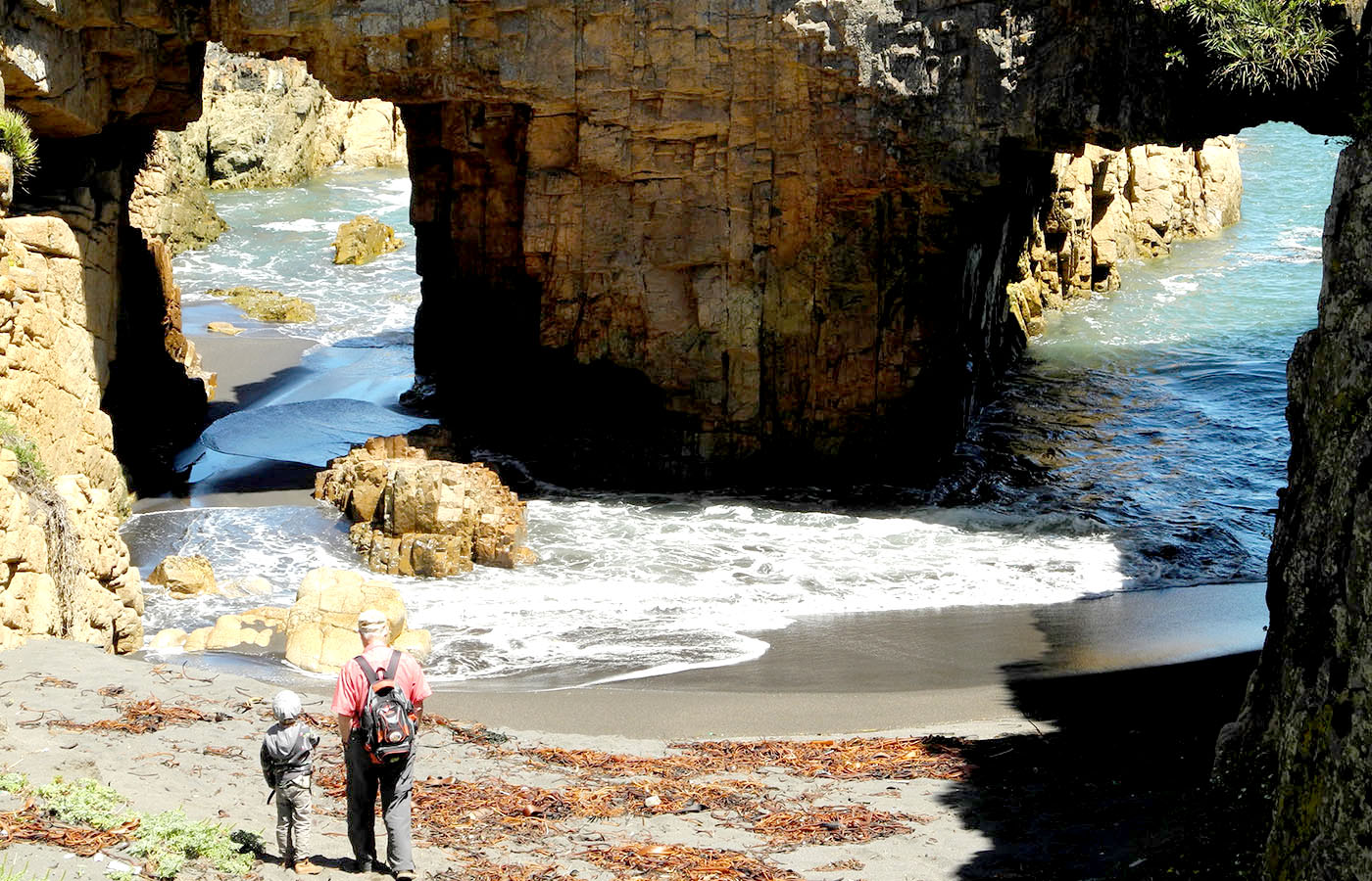 Tres santuarios de la naturaleza se suman al Plan Nacional de Humedales completando más de 220 mil hectáreas protegidas