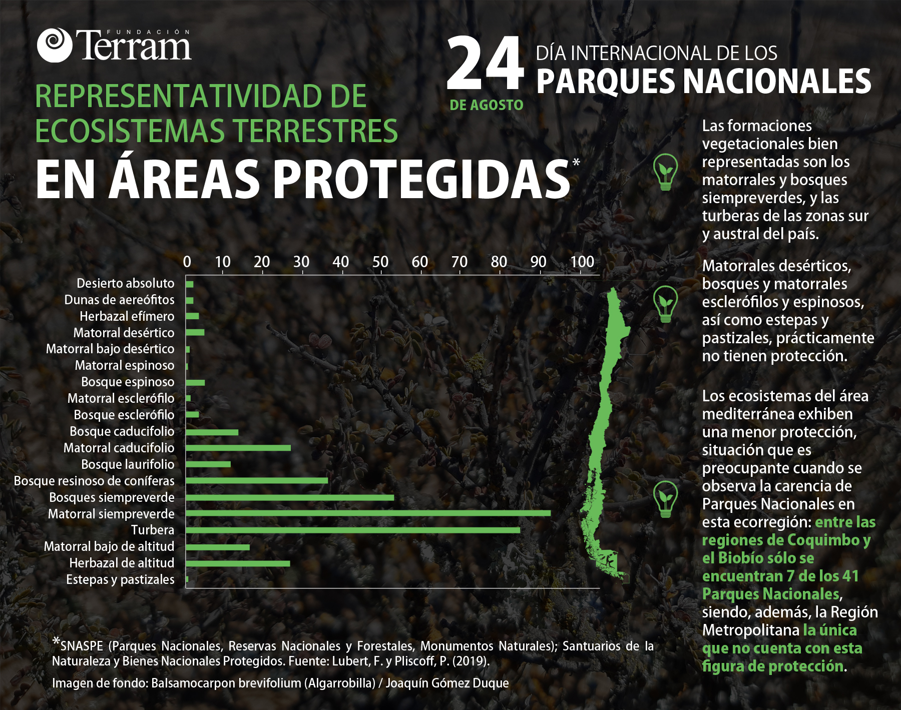 Representatividad de las formaciones vegetacionales en áreas de protección oficial