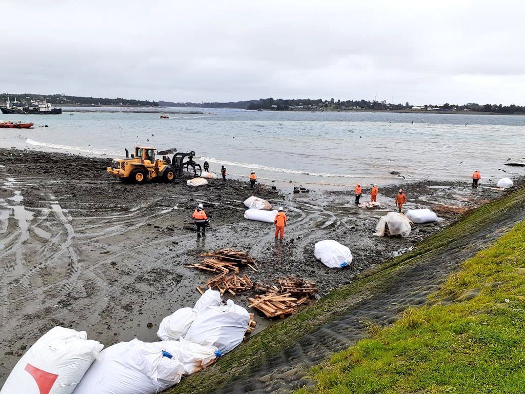 Muelle colapsa en Calbuco con más de 300 toneladas de alimento para salmón