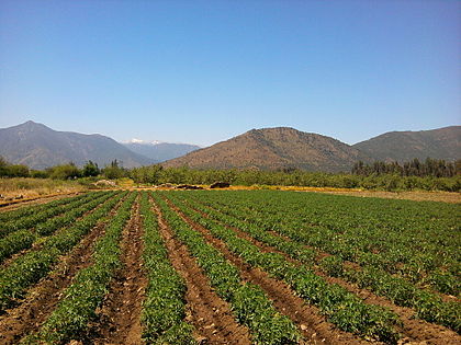 La agricultura puede ser parte de la solución y no del problema