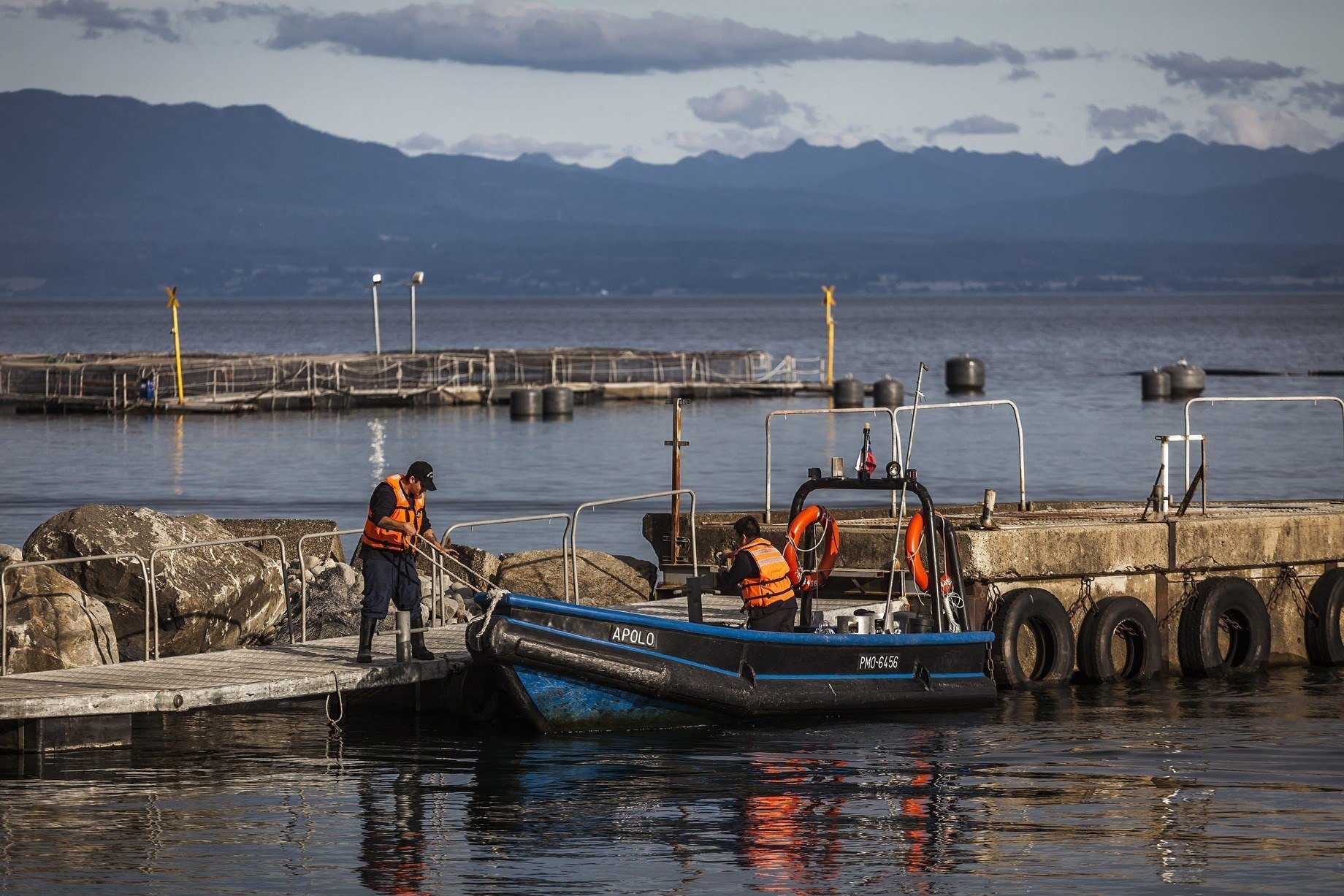 Sernapesca descarta daño ambiental en escape de Salmones Camanchaca
