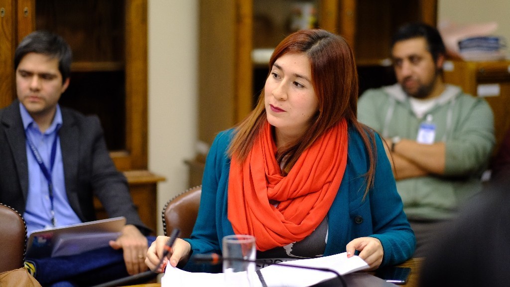 Diputada Pérez denuncia que veto al proyecto de ley pro inversión favorece a empresas contaminantes