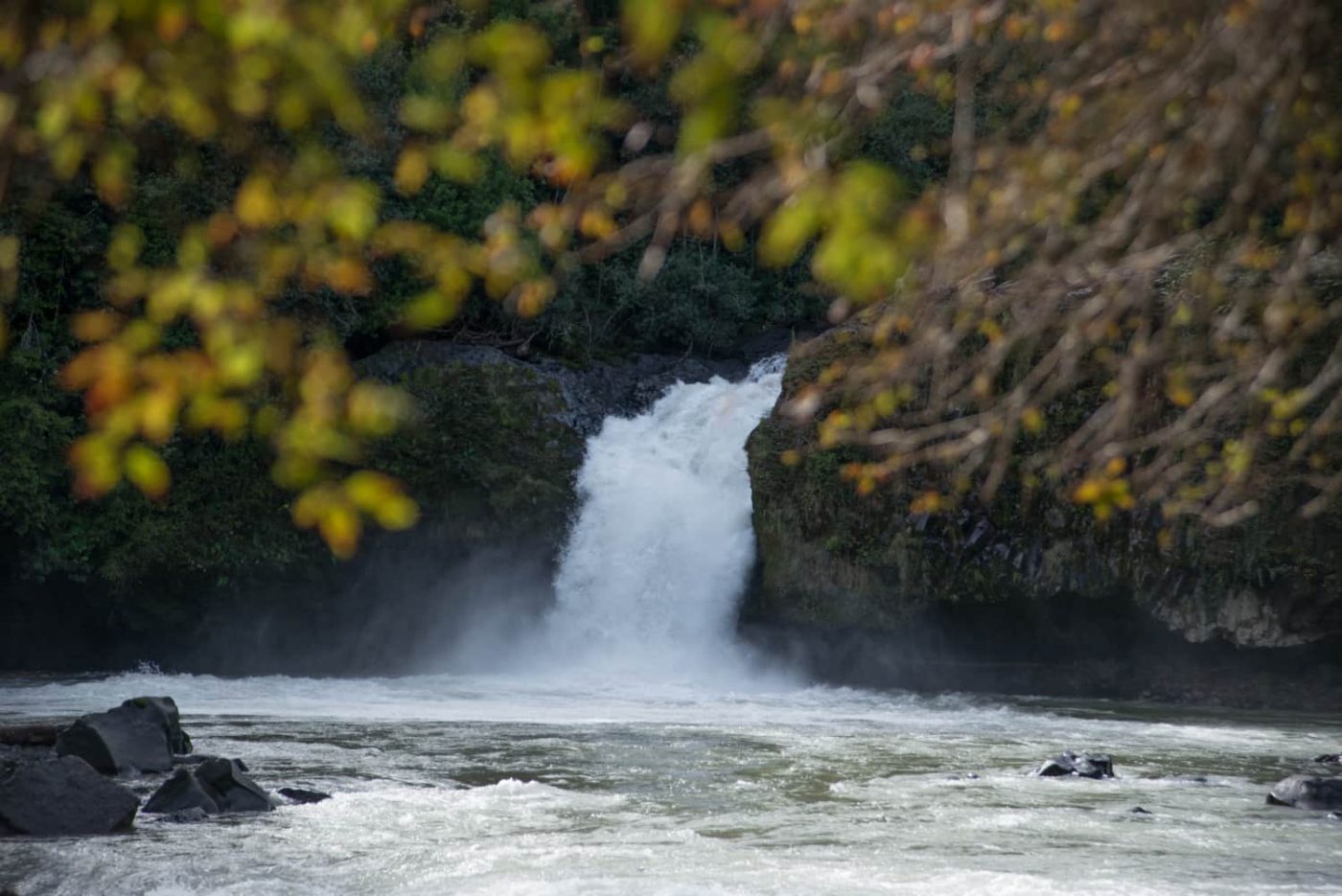 Corte Suprema ordena someter a consulta indígena proyecto de deslindes de Parque Nacional Puyehue