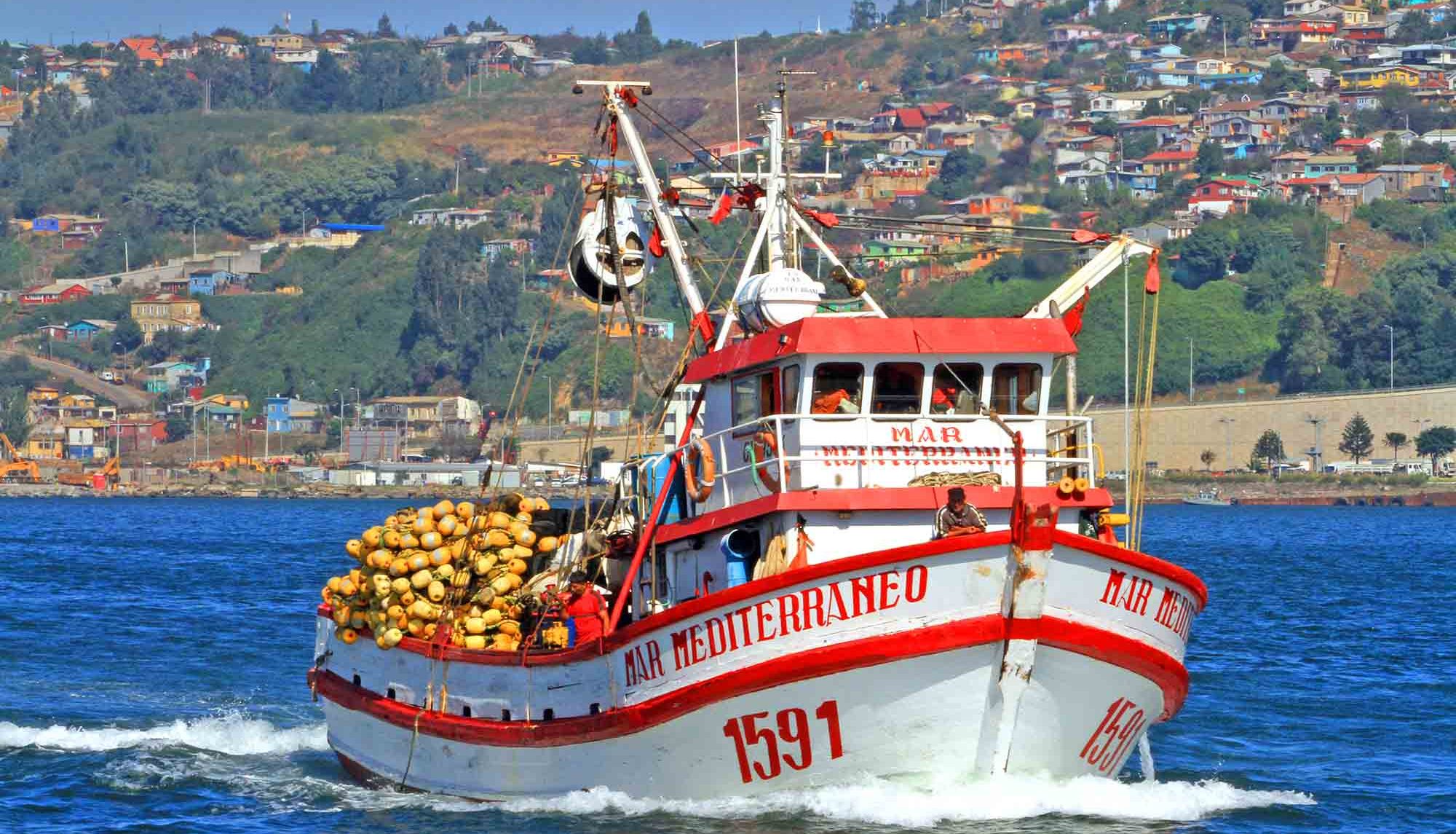Dirigentes de la pesca explicaron: ¿Por qué se necesita un Ministerio del Mar en Chile?