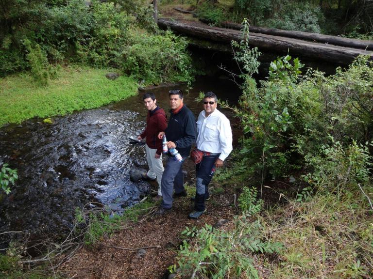 Araucanía: Investigan efectos en el medio ambiente por uso de sal en pisciculturas