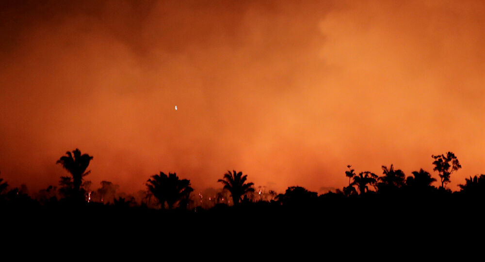 Brasil: Incendios ya han abarcado casi la mitad de las tierras indígenas de Pantanal