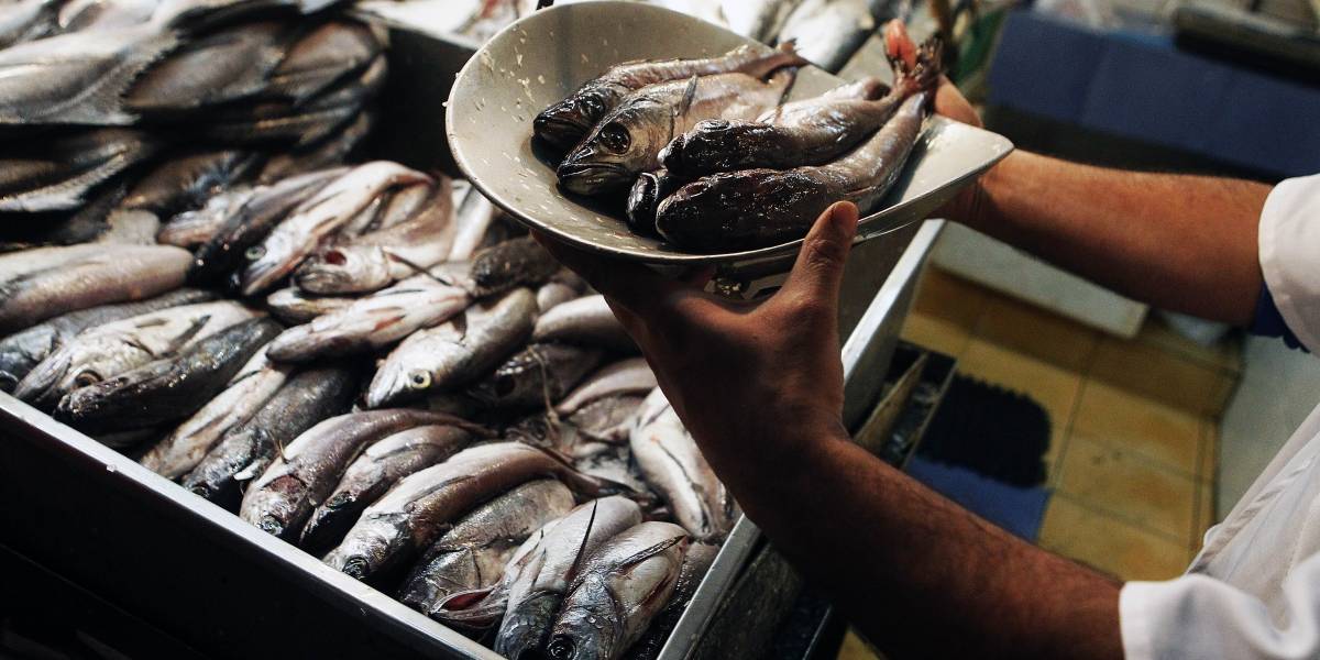 Asipes: “La veda de la merluza es una oportunidad para recuperar este recurso y generar conciencia en la necesidad de cuidar este patrimonio gastronómico nacional”