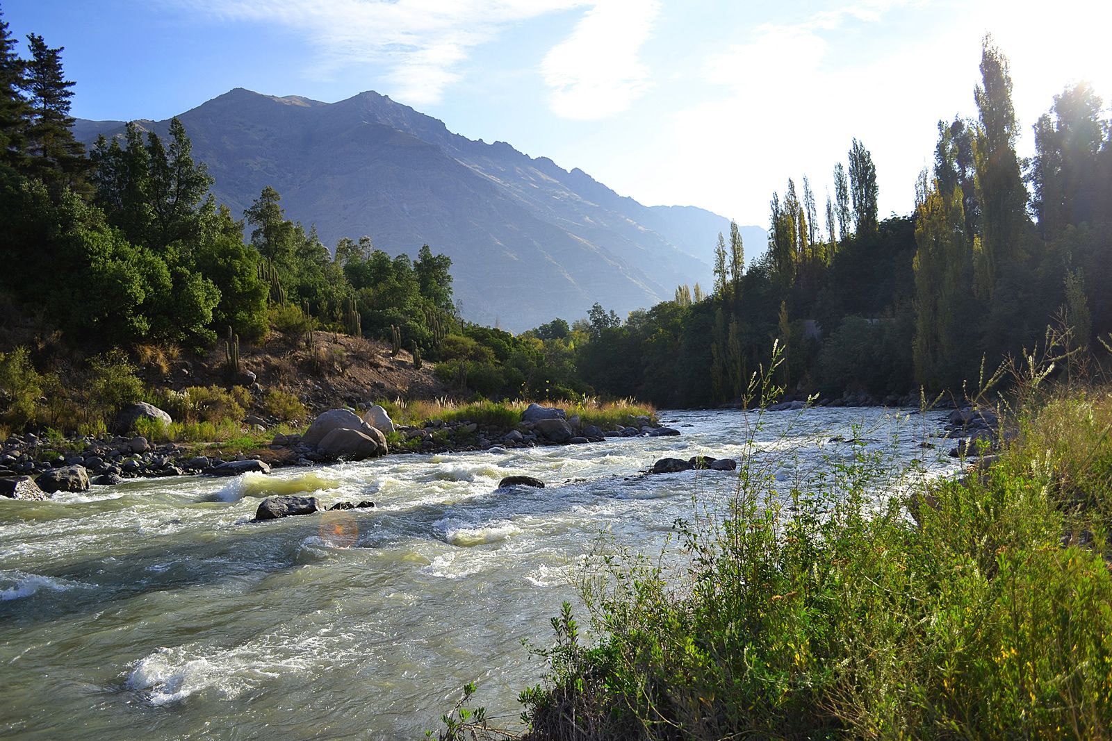 Descubren pérdida de bosque nativo en cuencas del Maipo y Maule