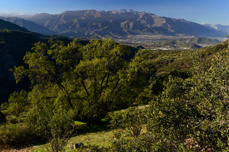 Lo Barnechea paraliza proyecto en área de preservación ecológica