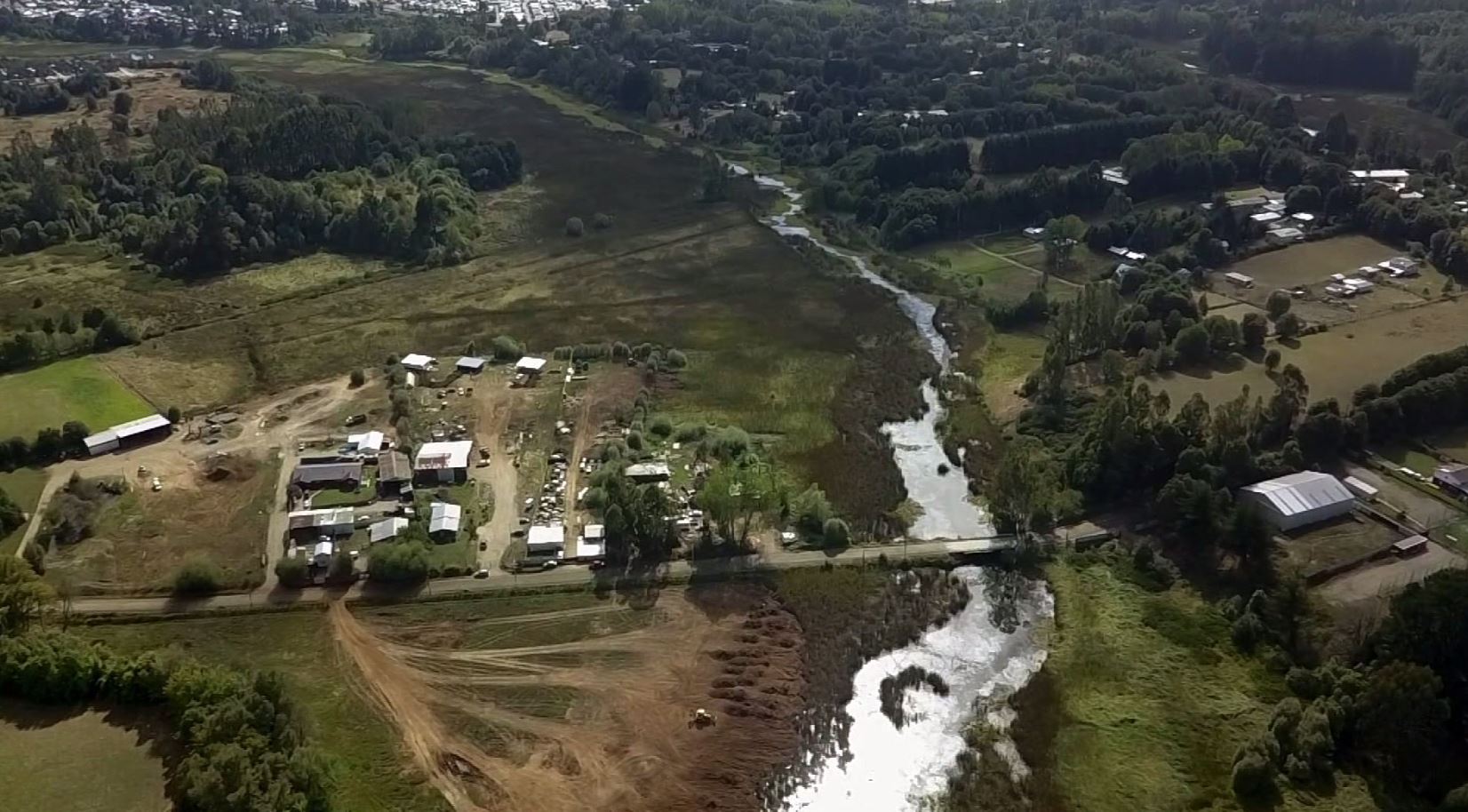 Valdivia: Tribunal decretó medida cautelar en demanda por humedal Angachilla