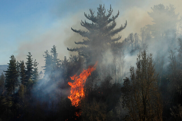 Gobierno declara estado preventivo de emergencia en regiones afectadas por incendios forestales hasta mayo 2021