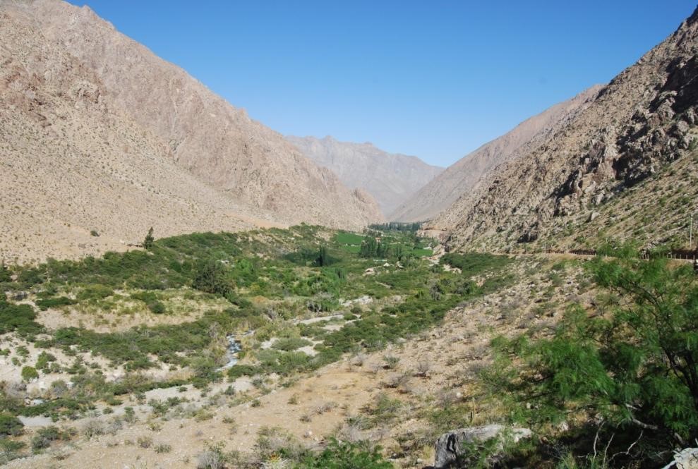 Organizaciones manifiestan su preocupación por tramitación de proyecto de Ley sobre Biodiversidad y Áreas Protegidas en Chile