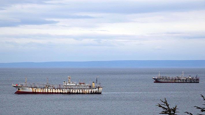 Gran flota china no podrá pescar temporalmente calamar en zonas de cría del Atlántico y Pacífico