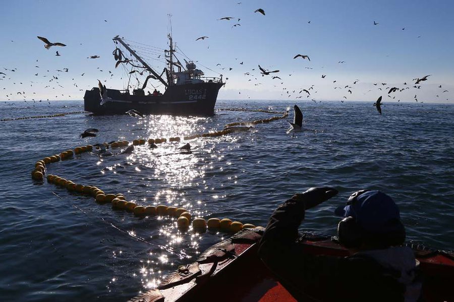 Gobierno por embarcaciones chinas en territorio chileno: “Ni la Armada ni nosotros hemos detectado ningún incumplimiento”