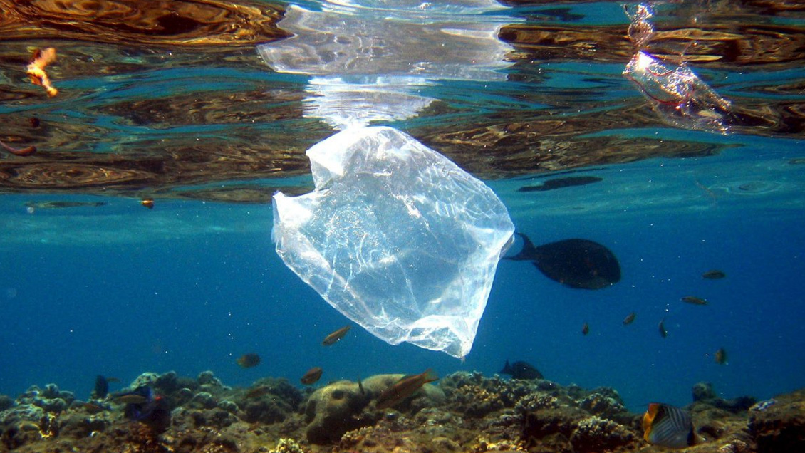 Unas 14 millones de toneladas de microplásticos contaminan fondo de los océanos