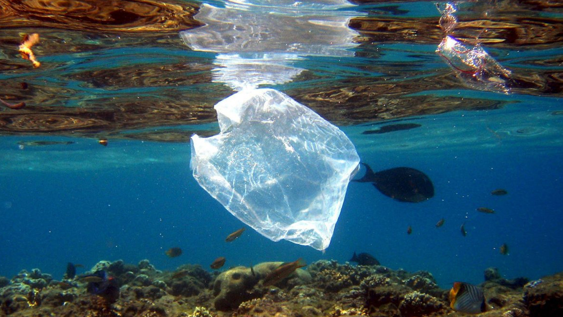 Unas 14 millones de toneladas de microplásticos contaminan fondo de los océanos