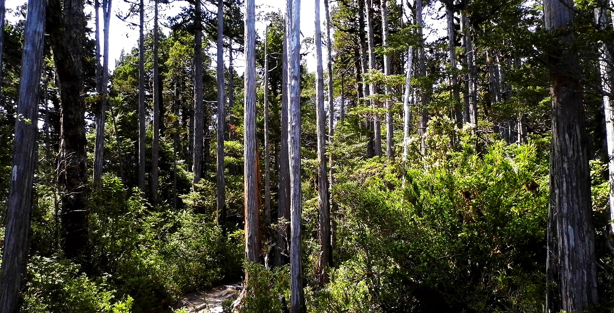 Servicio de Biodiversidad y Áreas Protegidas completó una década en trámite y en ese período el daño al bosque nativo y la erosión subieron 40% y 34%