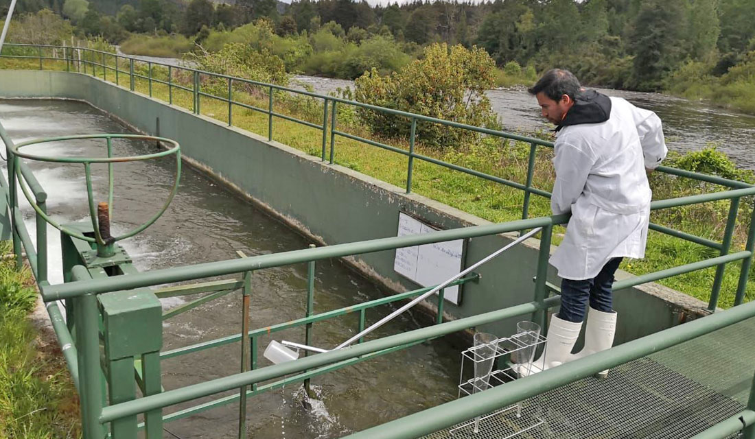 SMA presenta nueva guía para prevenir la contaminación de los cuerpos de agua