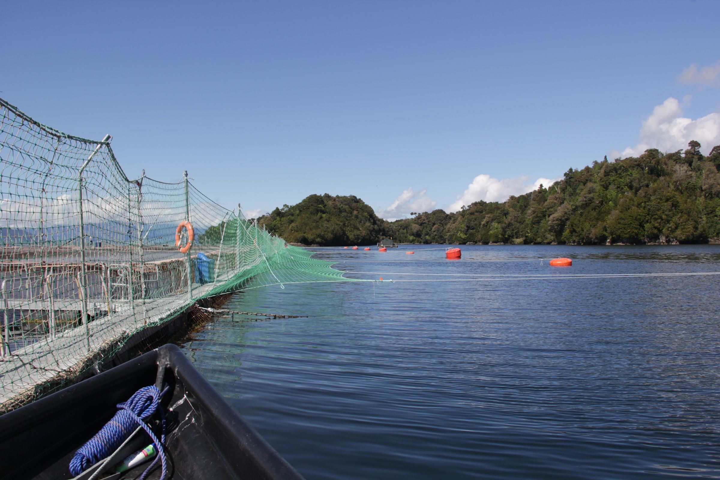 Proyecto GEF: Publican guía sobre los efectos del cambio climático en la pesca y acuicultura de Chile